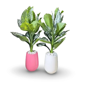 3ft Flower Pot 6437