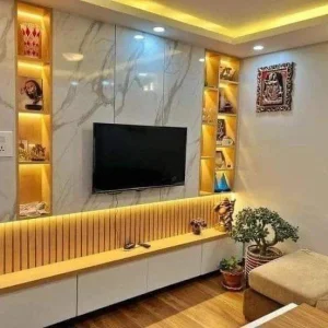 Tv console and shelf